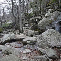 Photo de france - La randonnée du Mont Caroux